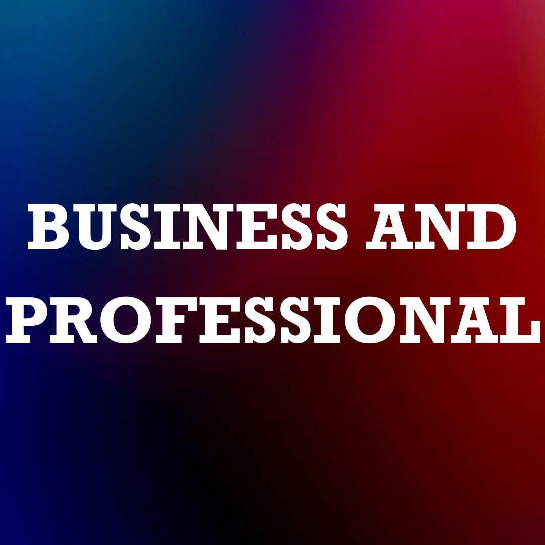 Business and Professionals Sector